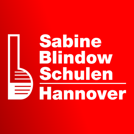 Logo von Design-Your-Future-Blindow-BildungsGesellschaftmbH