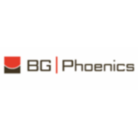 Logo von BG-PHOENICS