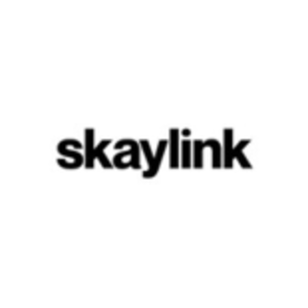 Logo von Skaylink