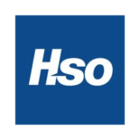 Logo von HSO International