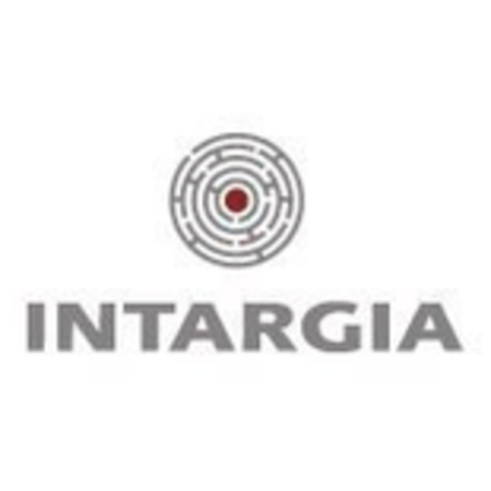 Logo von INTARGIA Managementberatung