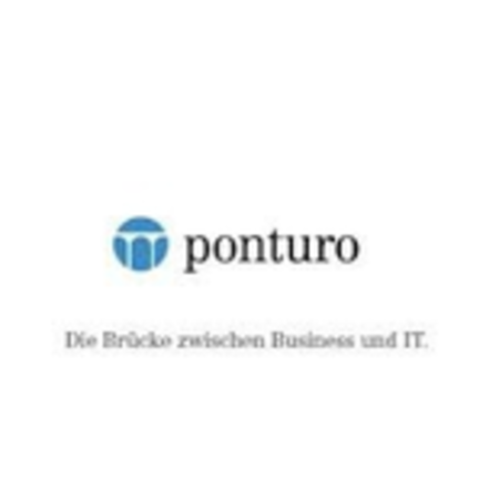 Logo von ponturo consulting