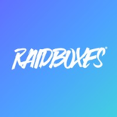 Logo von RAIDBOXES