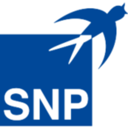 Logo von SNP Schneider-Neureither & Partner