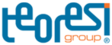 Logo von Teoresi Group