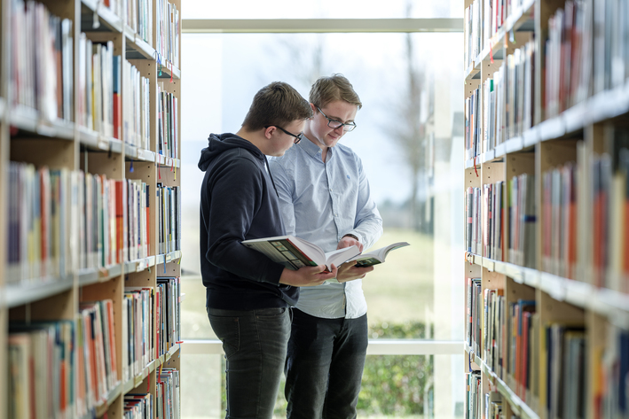 Bibliothek_zwei