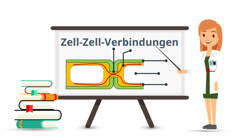 playlist-logo für Zell-Zell-Verbindungen