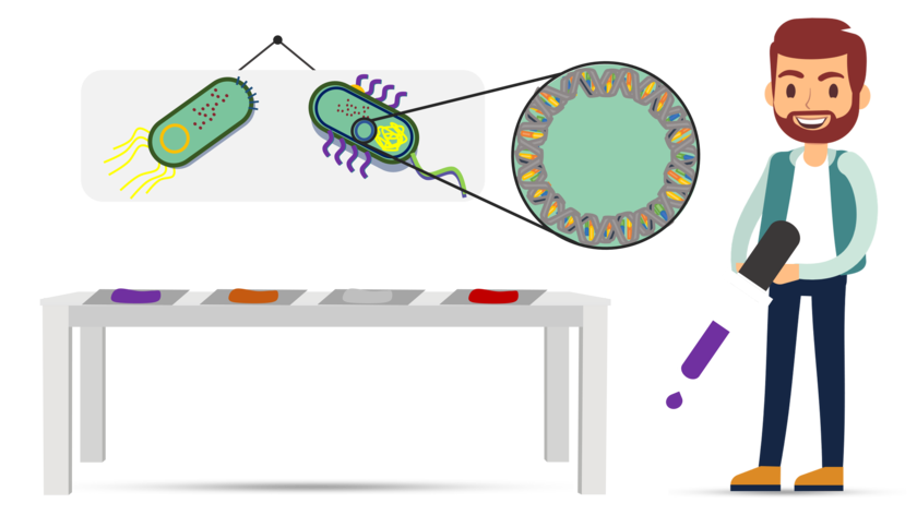 playlist-logo für Bakterien, Archaeen und Viren