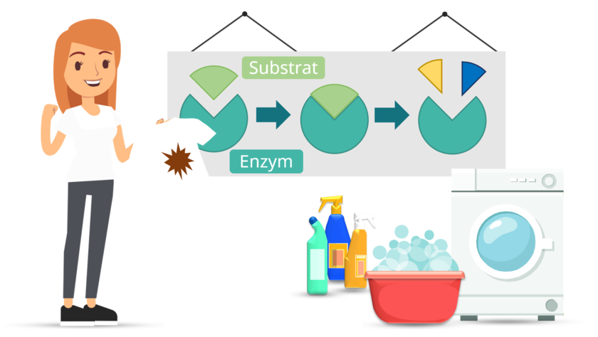 playlist-logo für Enzyme