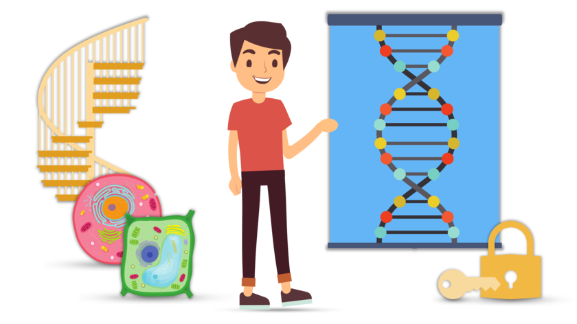 playlist-logo für DNA: Grundlagen