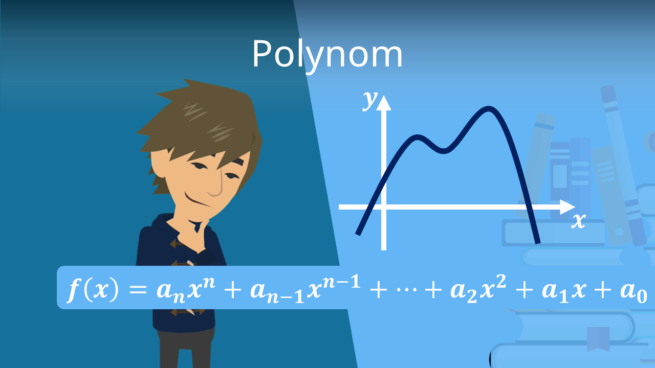 Wie sieht ein Polynom aus?