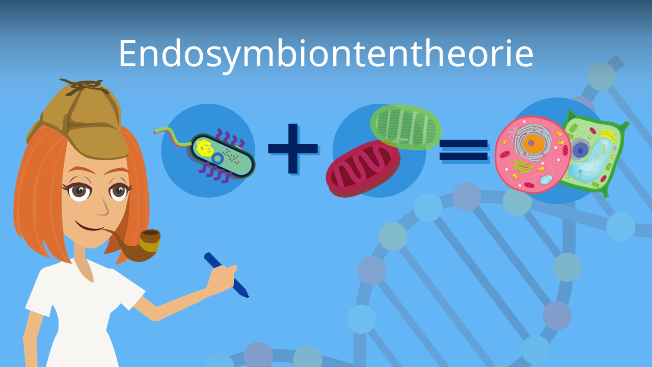 Endosymbiontentheorie • Endosymbiontenhypothese · mit Video