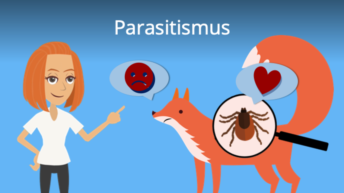 Parasitismus Definition Beispiele Und Parasiten Mit Video