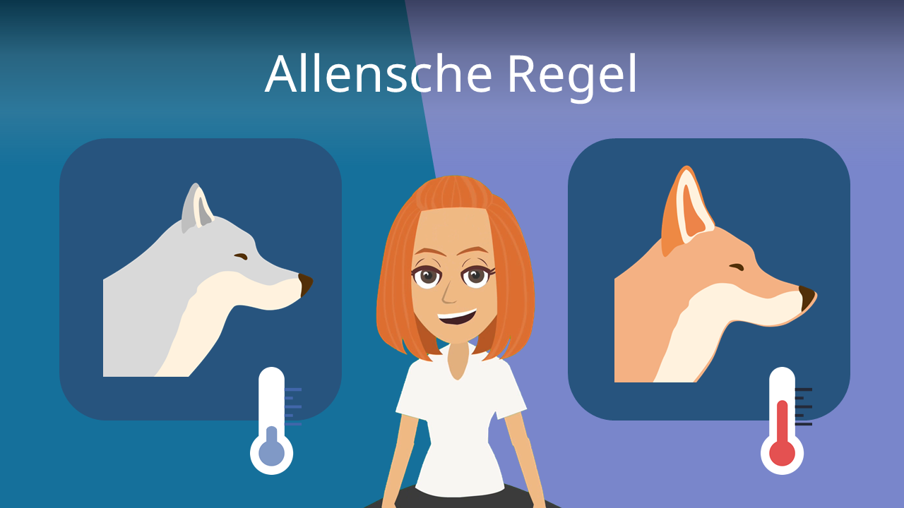 Allensche Regel • Beispiel, Klimaregel und Begründung ...