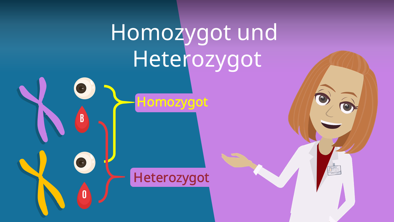 heterozygote Beispiele