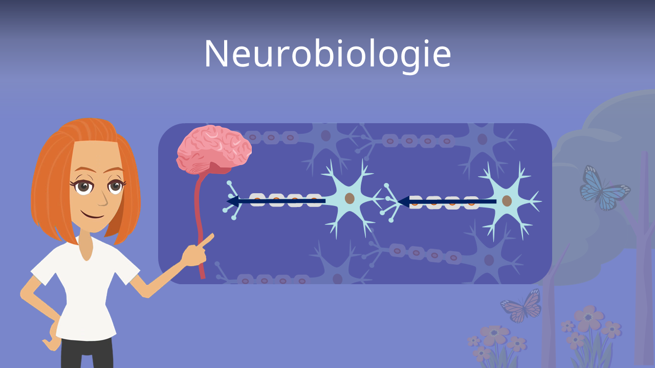 Warum ist Neurobiologie wichtig?