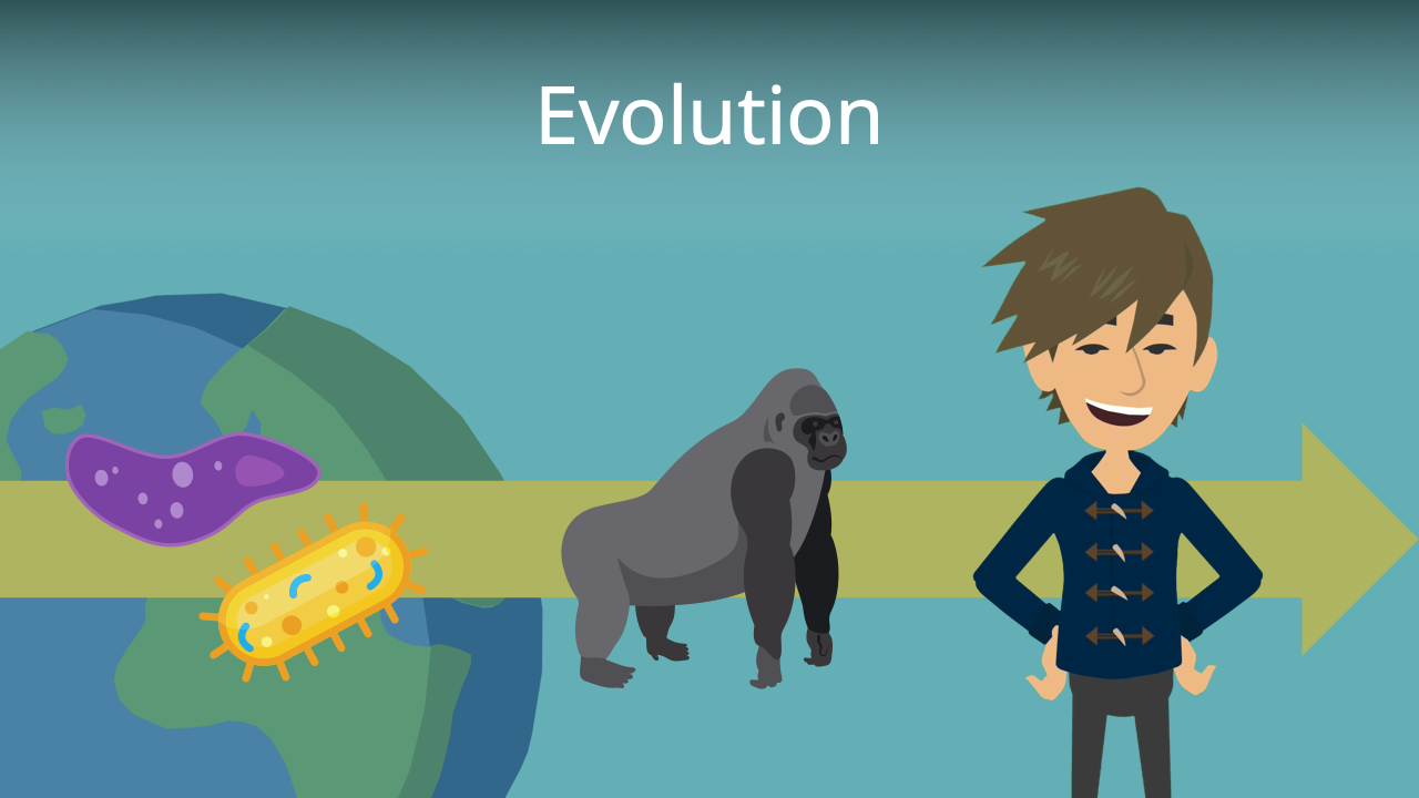 Evolution • Einfach Erklärt, Evolution In Der Biologie · [mit Video]