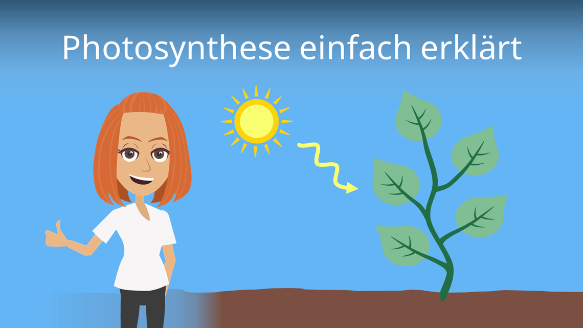 Photosynthese einfach erklärt • Ablauf, Formel · [mit Video]