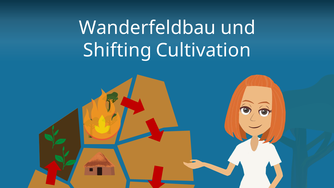 shifting-cultivation-einfach-erkl-rt-definition-prinzip-mit-video