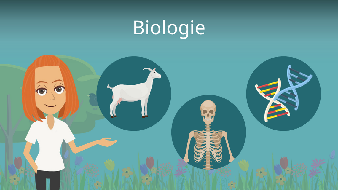 Biologie - Biologie